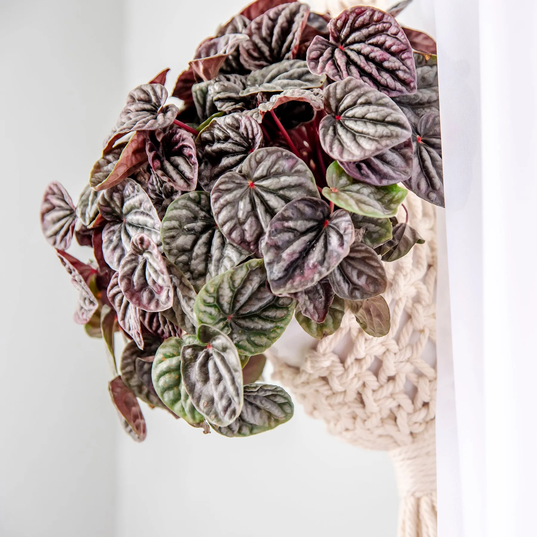 Extended Droplet Charming Macrame Plant Hanger