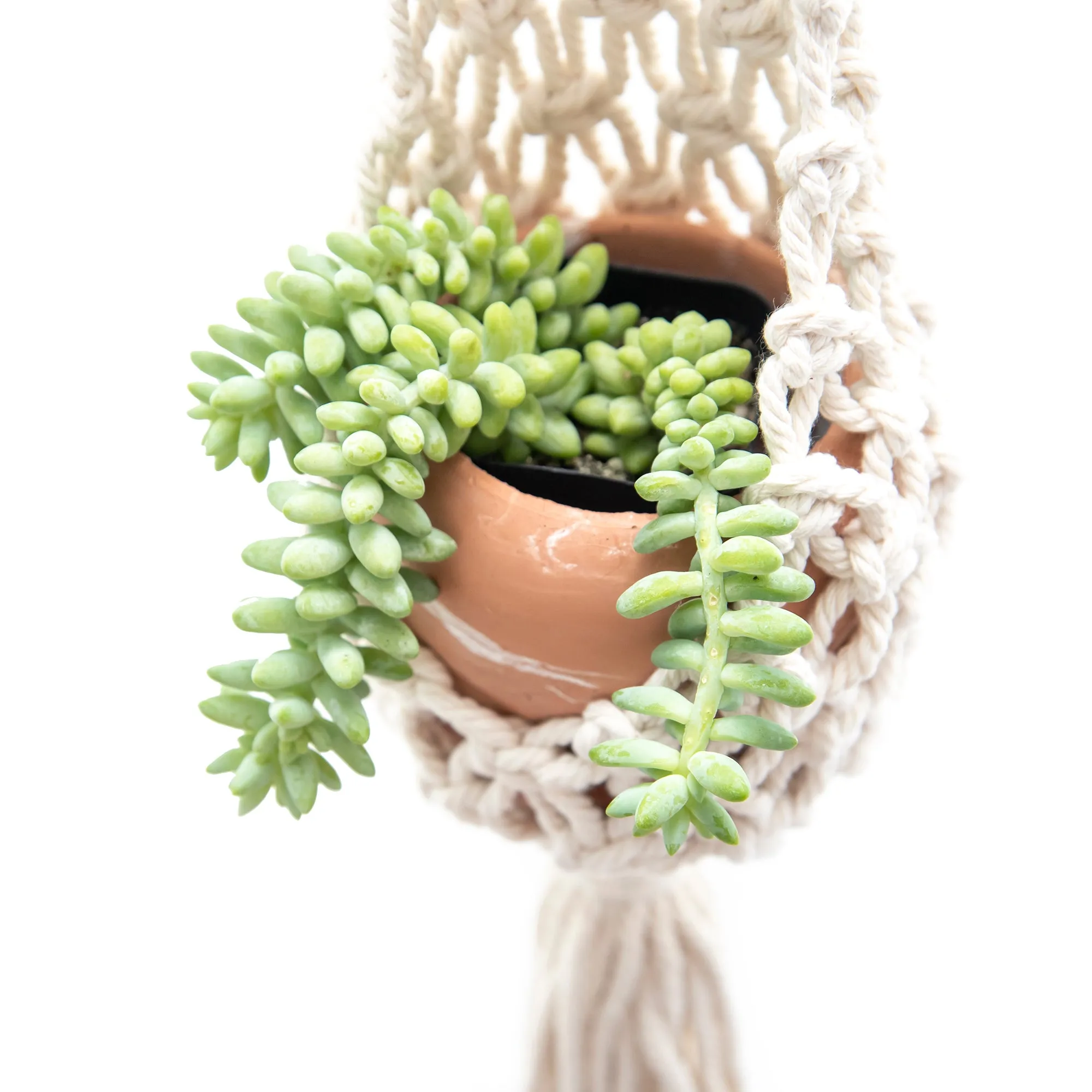 Extended Droplet Charming Macrame Plant Hanger
